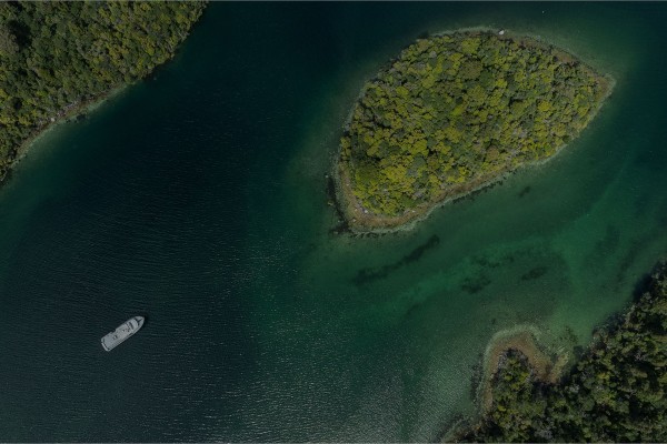 Kōura rangi / Scampi